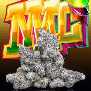 Jungle Boys MAC 10‑Pack Pre‑Rolls