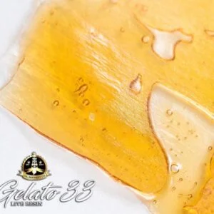 Jungle Boys Gelato #33 10‑Pack Pre‑Rolls