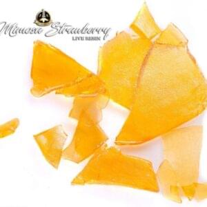 Jungle Boys Jungle Canyon 10‑Pack Pre‑Rolls